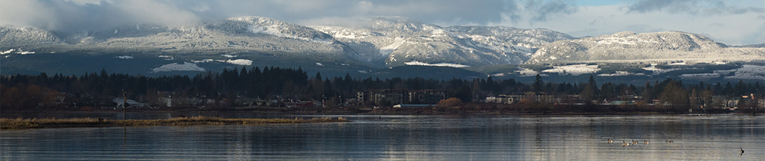 Snow-covered mountains.