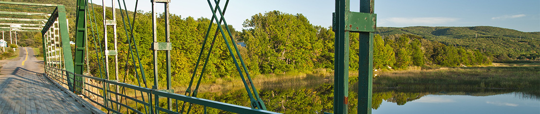 Green bridge over a body of water