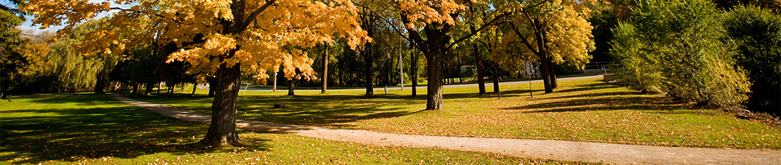Park filled with fall trees.
