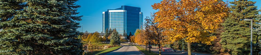 Road surrounded by yellow trees leading to a big blue skyscraper