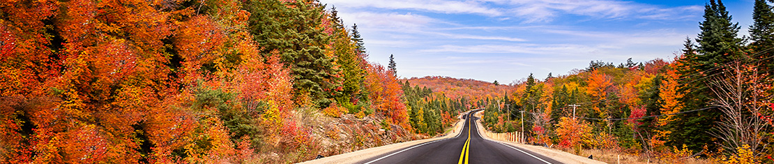 Road surrounded by red, orange, yellow, and green trees.