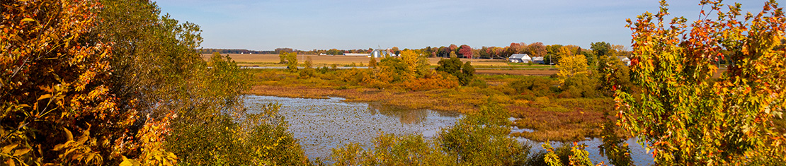 Fall trees and fields around a body of water