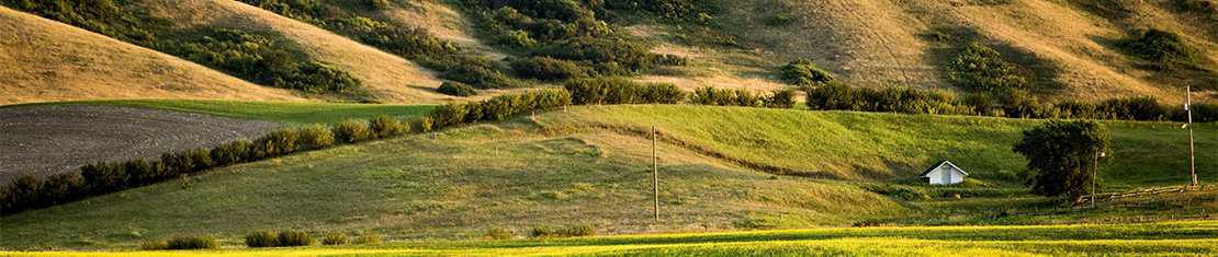 White shack surrounded by green hills
